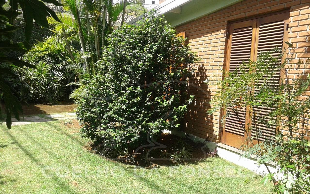 Jardim