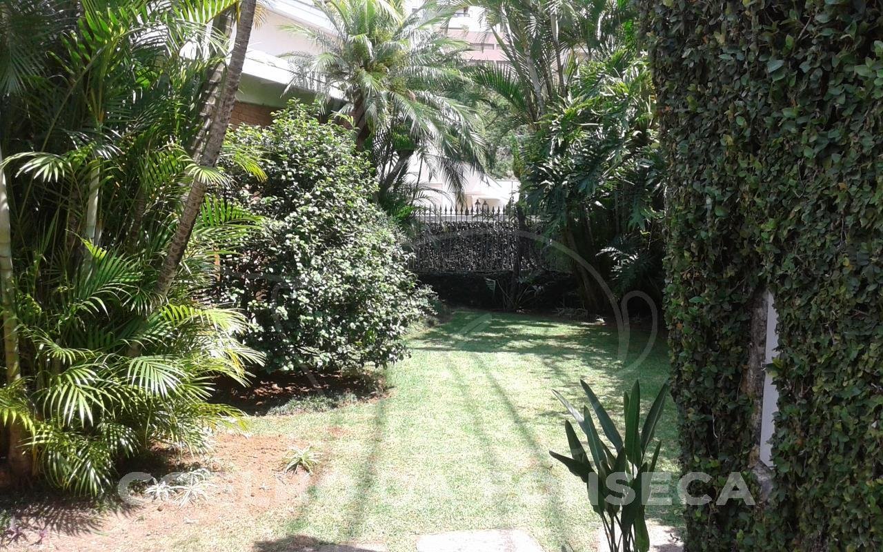 Jardim