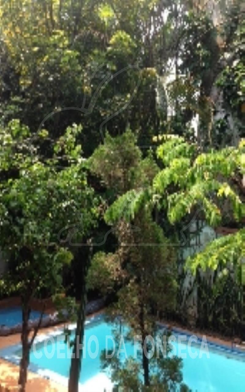 Jardim