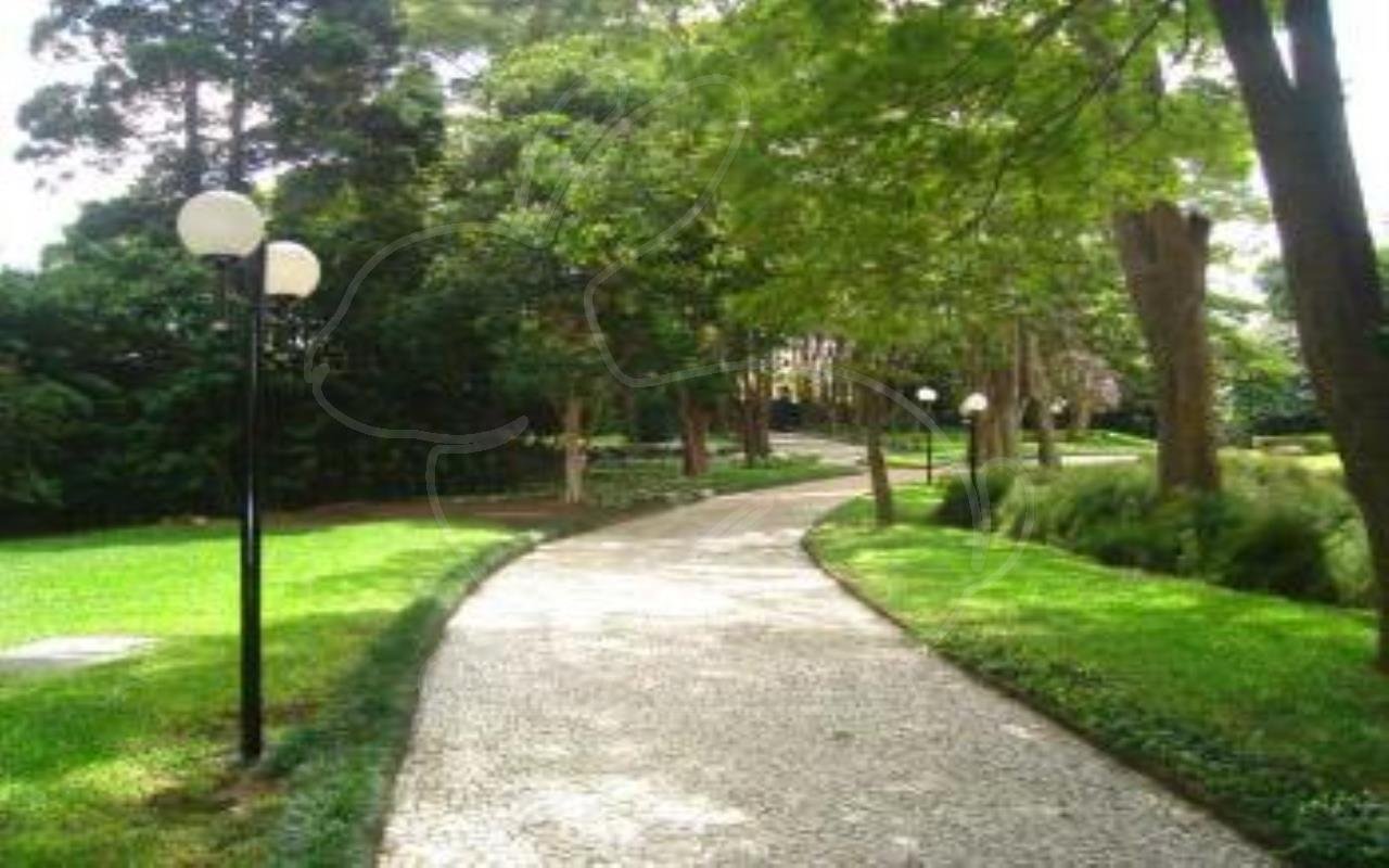 Jardim