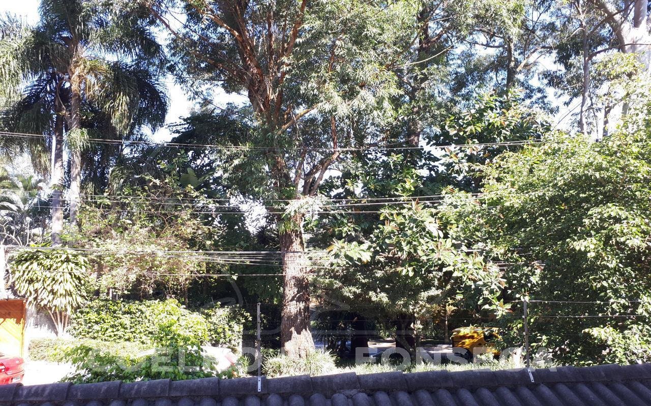Vista