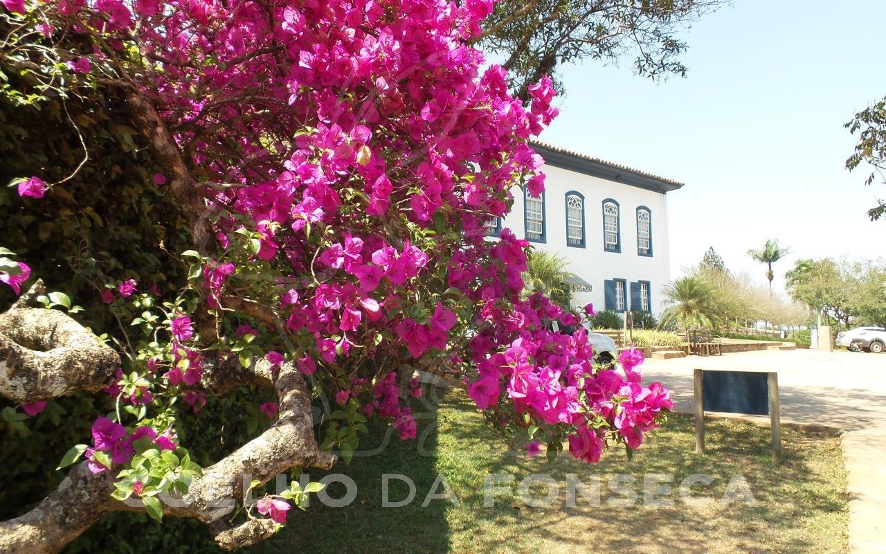 Casa Sede