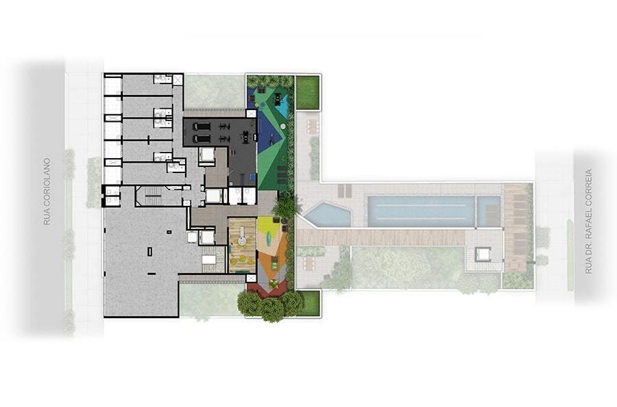 Planta