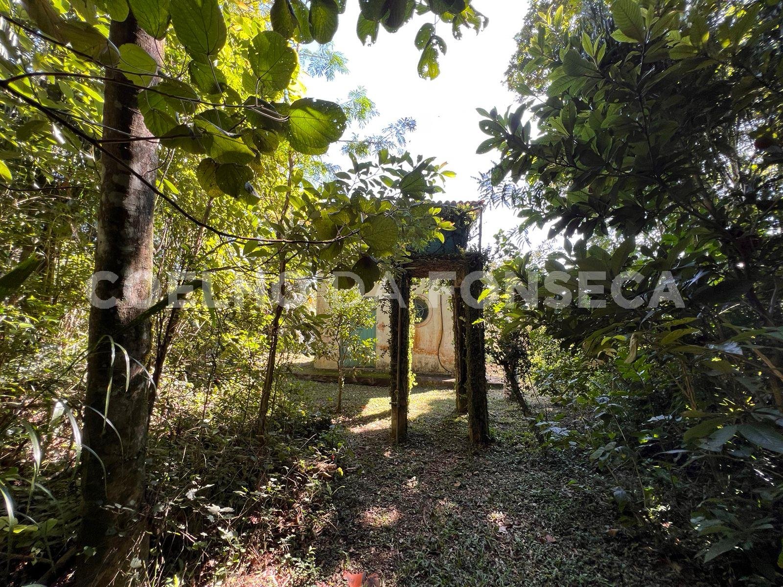 Jardim