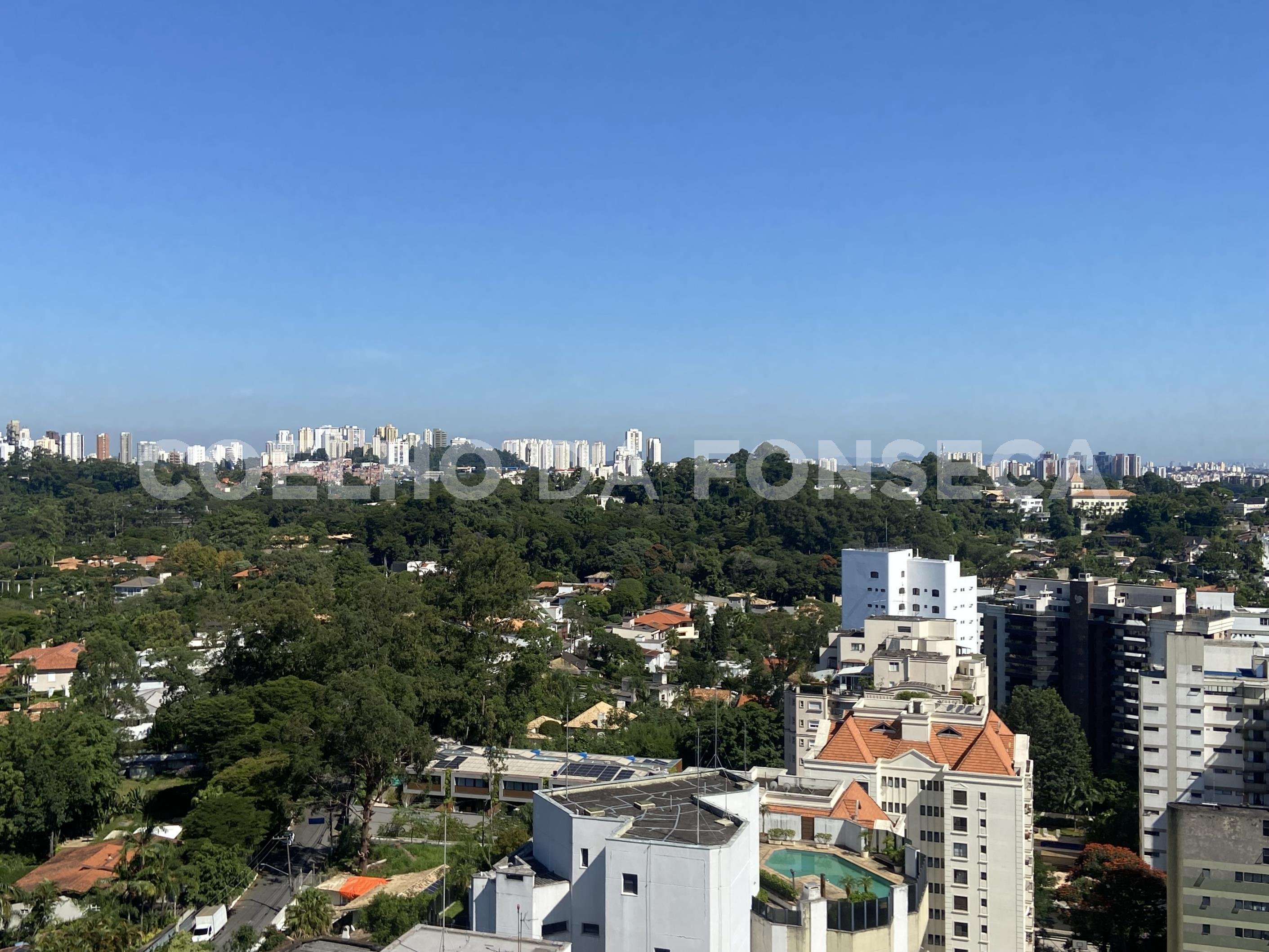 Vista