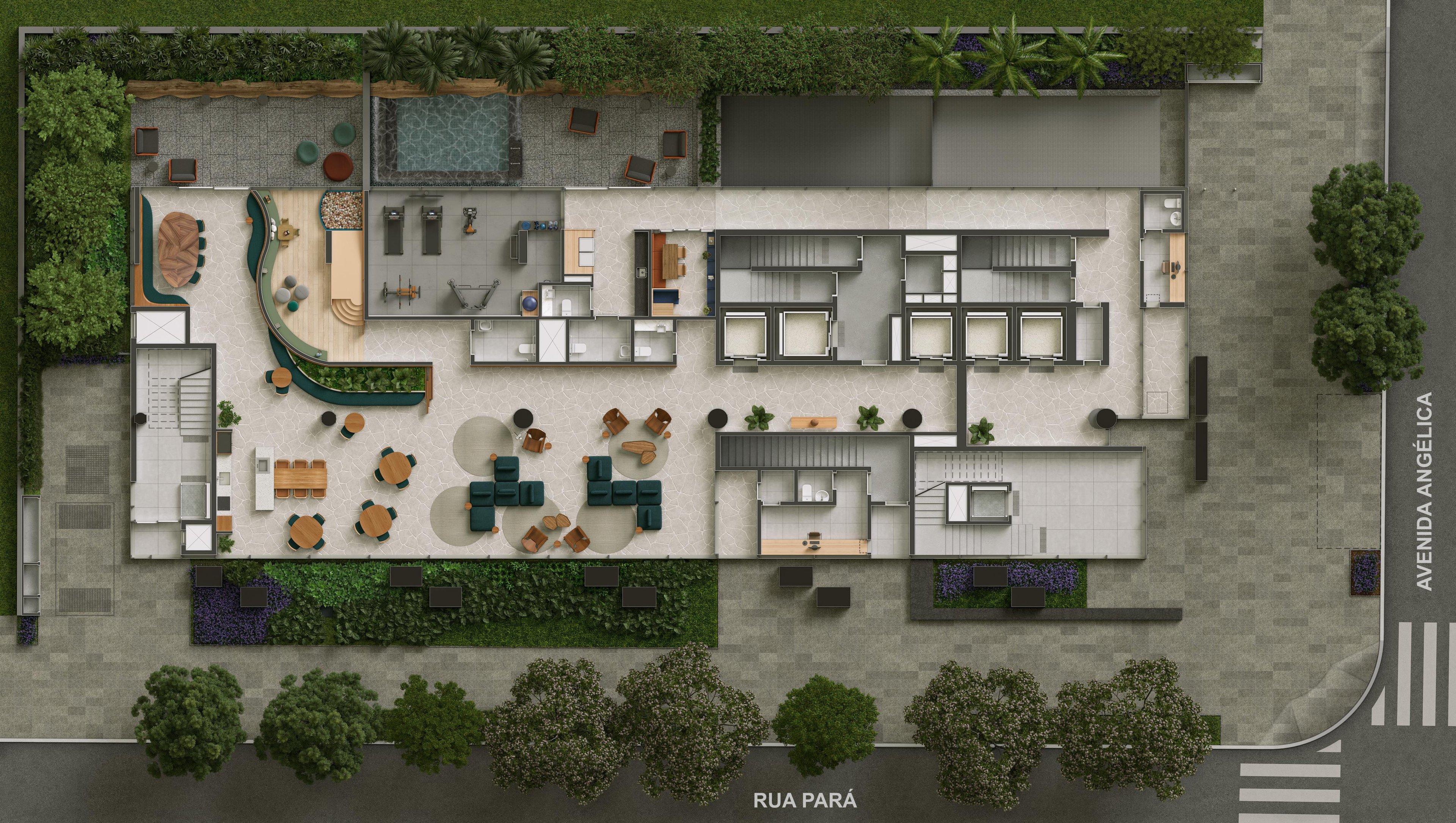 Planta