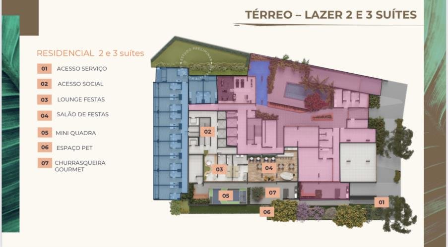 Planta