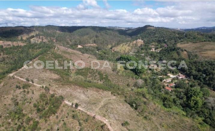 Vista Topográfica da Propriedade