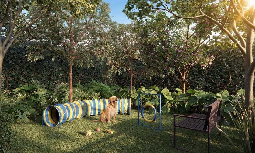 Pet Place