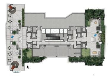 Planta